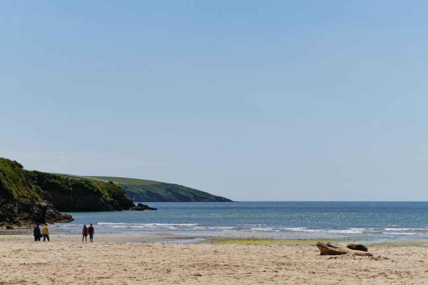 Primrose Cottage - foto 39