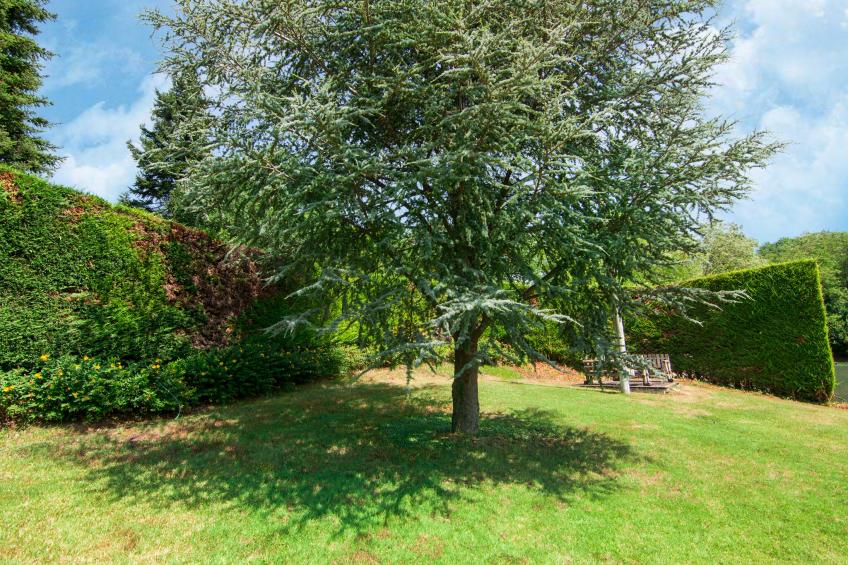 Apartamento Giardino - foto 36