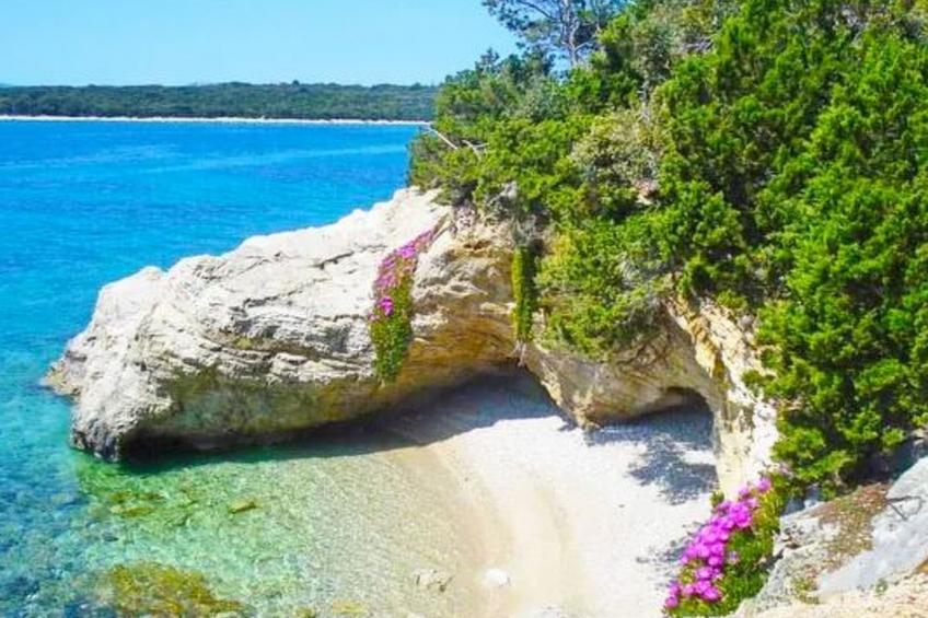 "Punta Orange" - foto 26