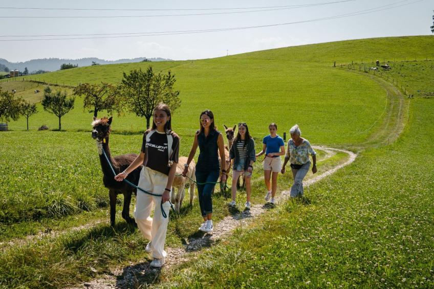 Lamahof Tschäppel - foto 17