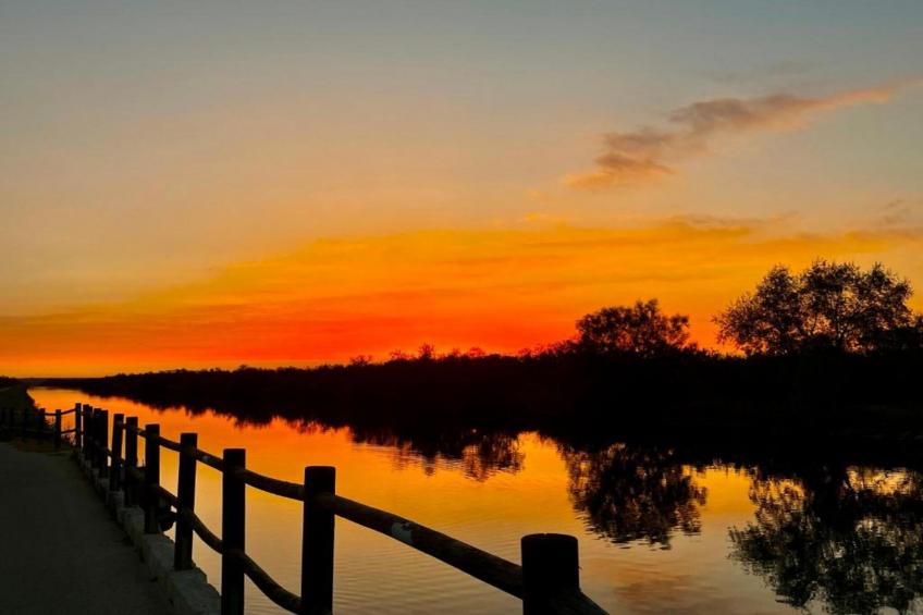 Résidence le Mas des Flamants - foto 19