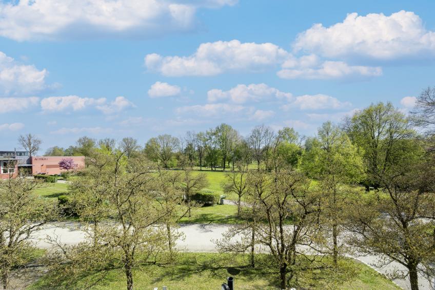 Haus am Kurpark - Studio 1 OG - foto 28
