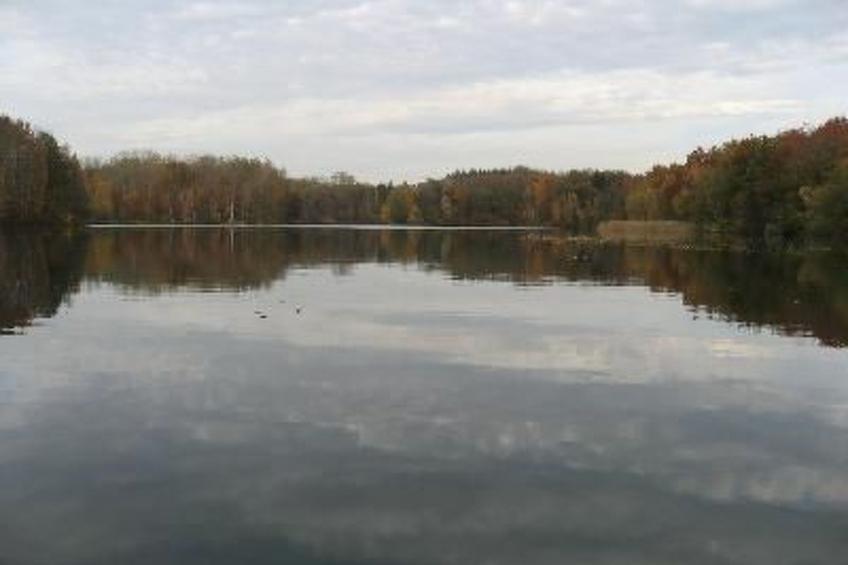 Haus-Zauberblau - foto 25