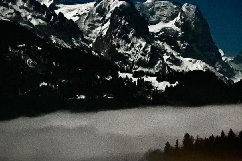 Chalet Bergruh - foto 18