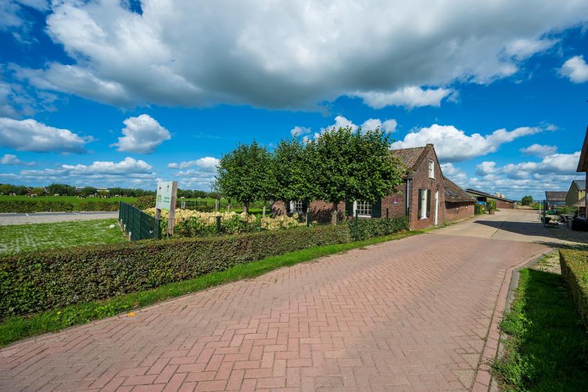 The Old Farmhouse - foto 57