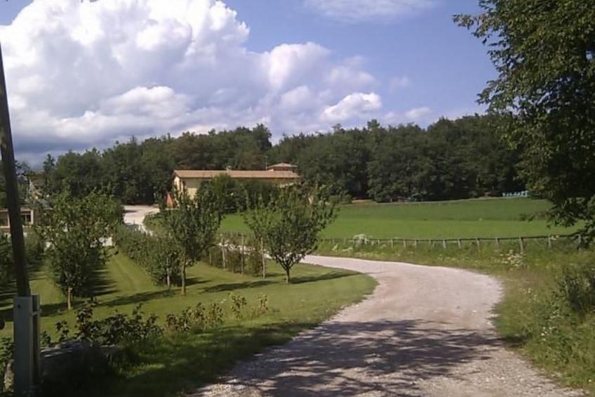 Wohnung mit Grill, Pool und Terrasse - foto 2