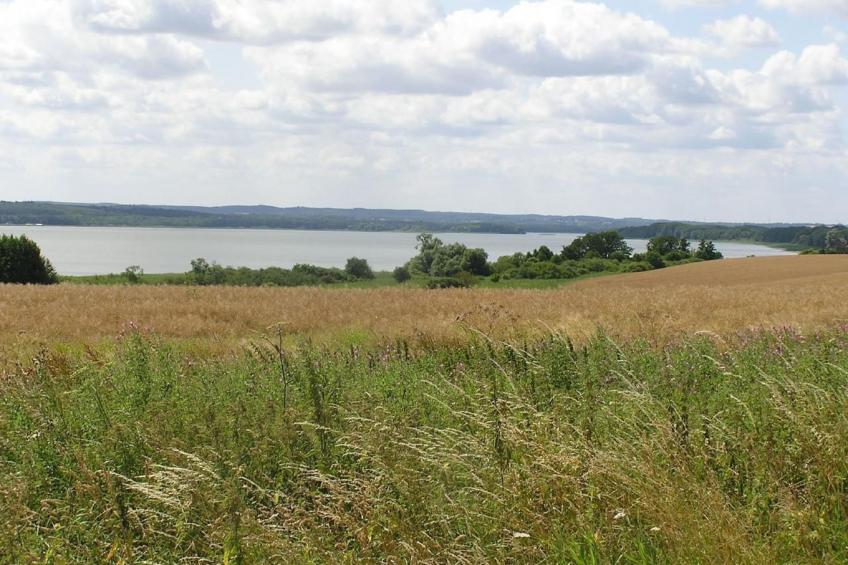 in Dahmen mit Großem Garten - foto 18