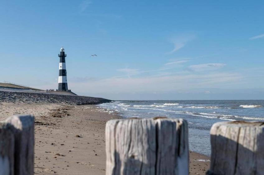 Schoneveld 146 Zeemeeuw Breskens - foto 36