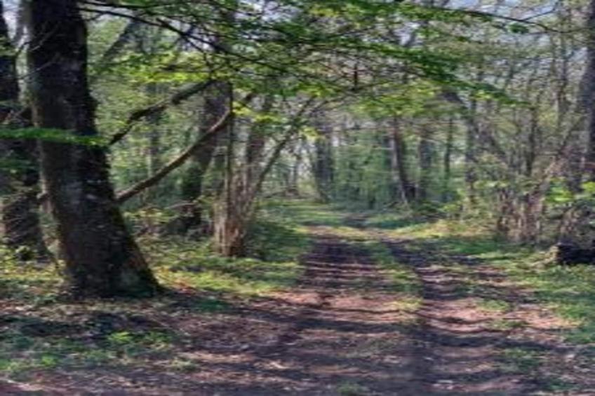 Maison de vacances - CHILLEURS-AUX-BOIS - foto 24