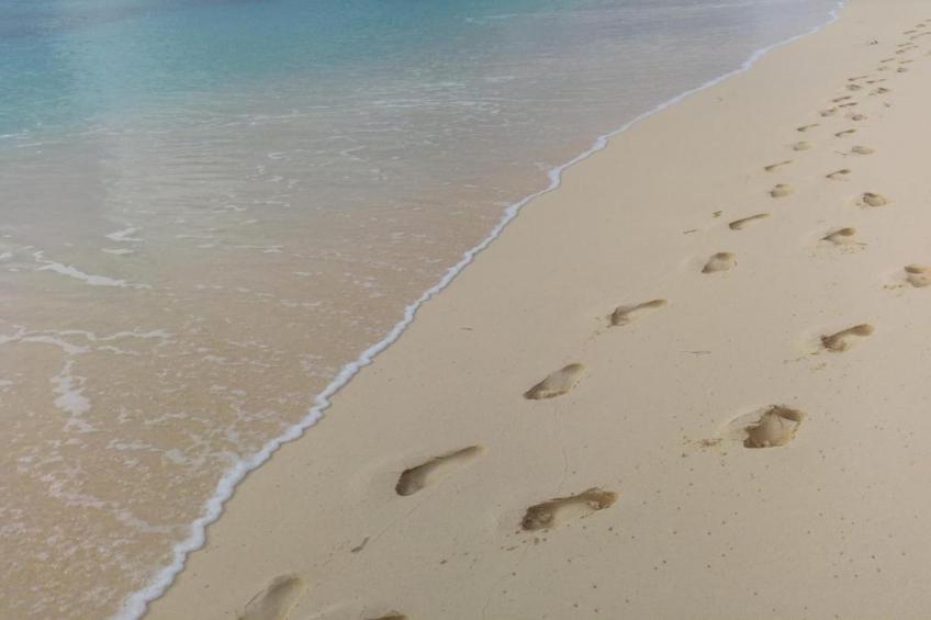 Appartement - Borné  Zoutelande - foto 20