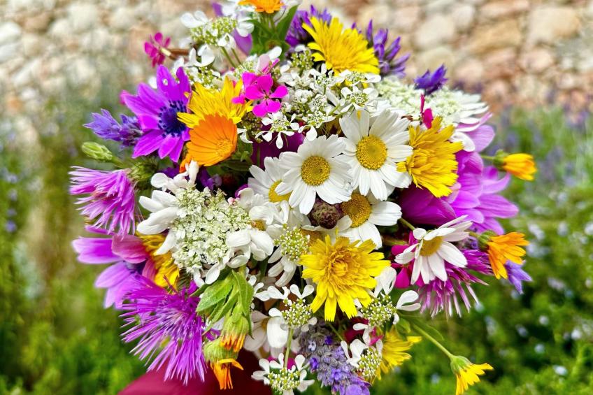 Prächtige Villa in spektakulärer Lage - foto 14