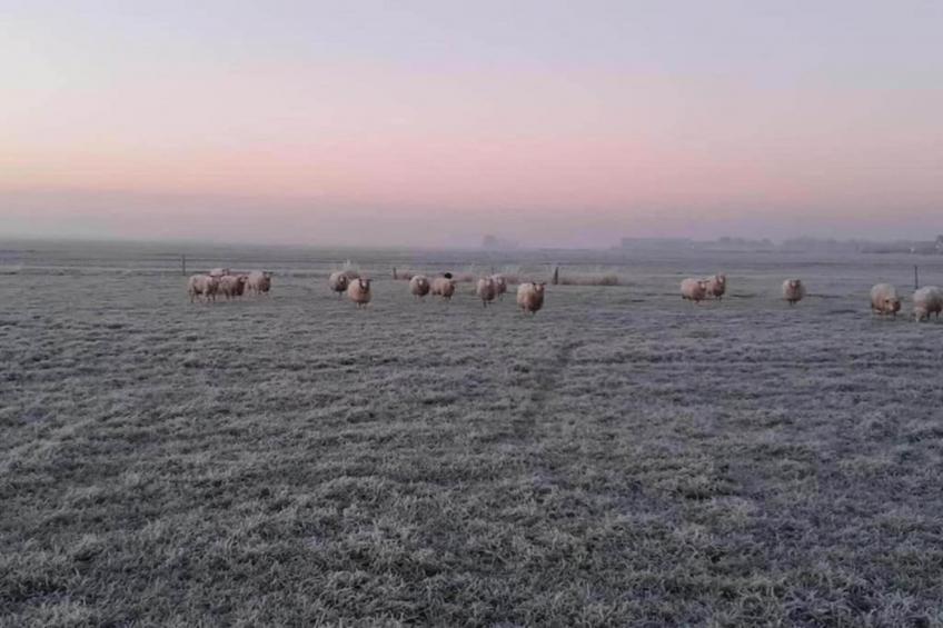 Landgoed Eysinga State - foto 19