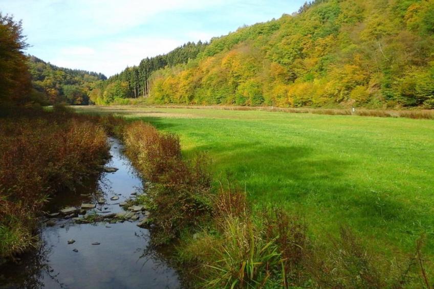 Im Westerwald - foto 37