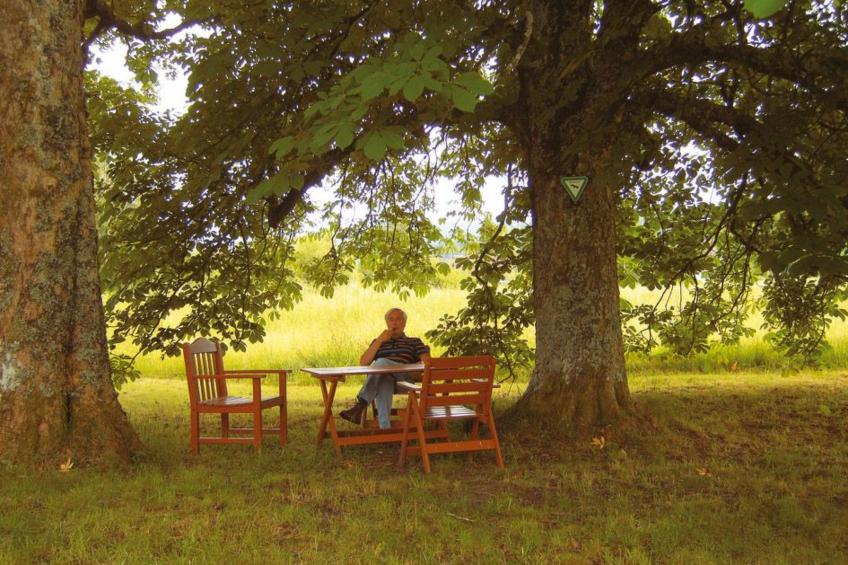 Landhaus Graf - foto 27