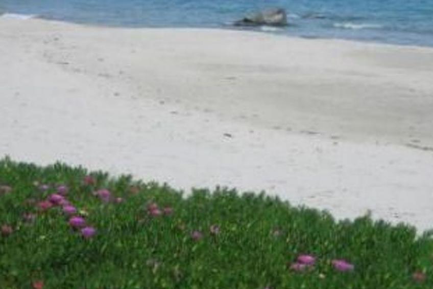 Natur, ökologische Nachhaltigkeit, nur für Erwachsene, Meer in der Nähe - foto 39