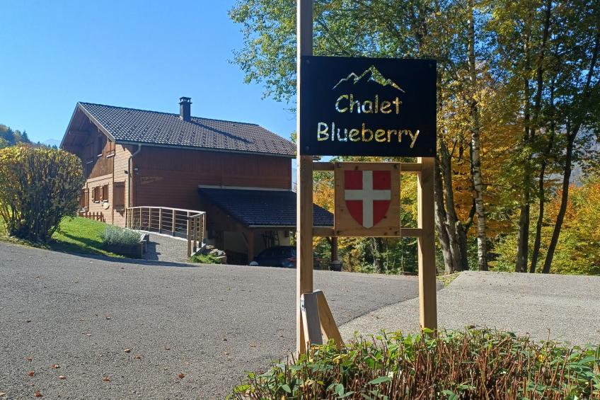 Le Blueberry - foto 28