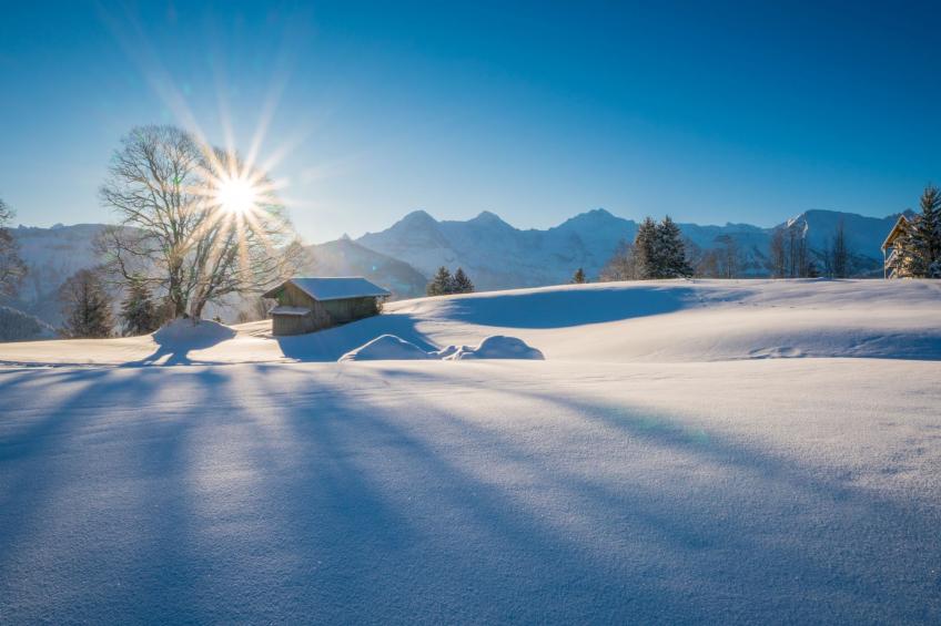 Wohnung Edelweiss direkt in 4 Sterne Hotel - foto 37