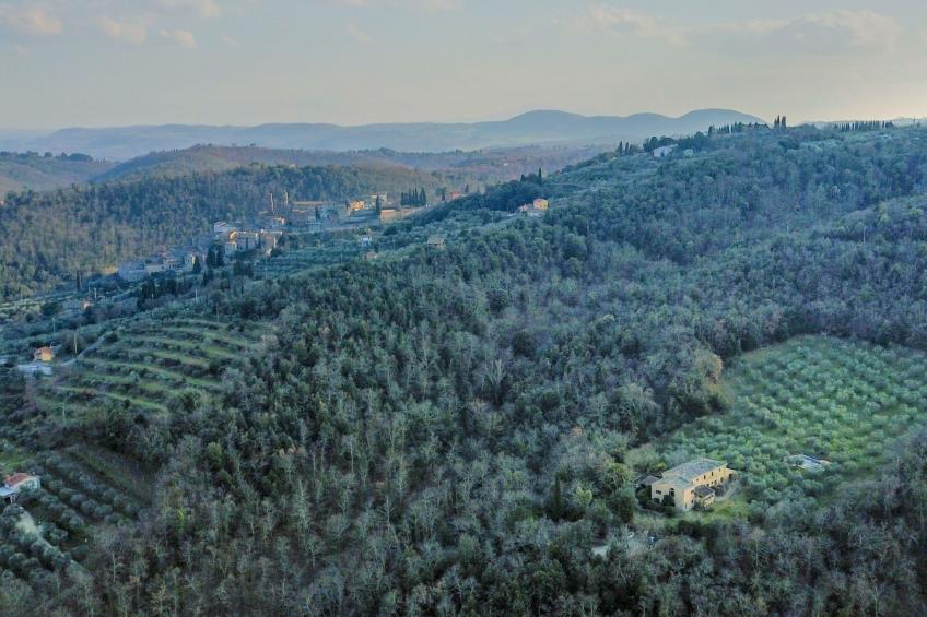 Podere Mencoini Elegante Villa mit Pool und Olivenbäumen - foto 27