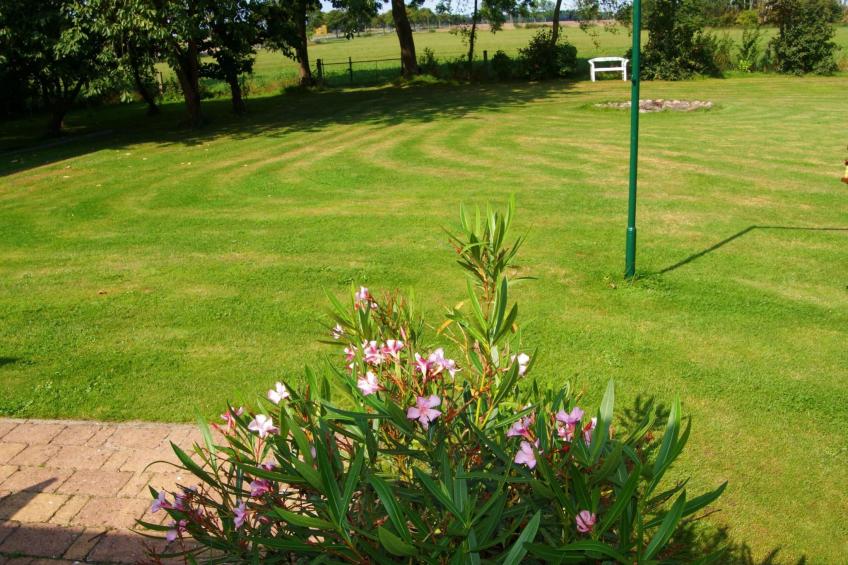 Schöne Wohnung bei Bergen auf Rügen - foto 21