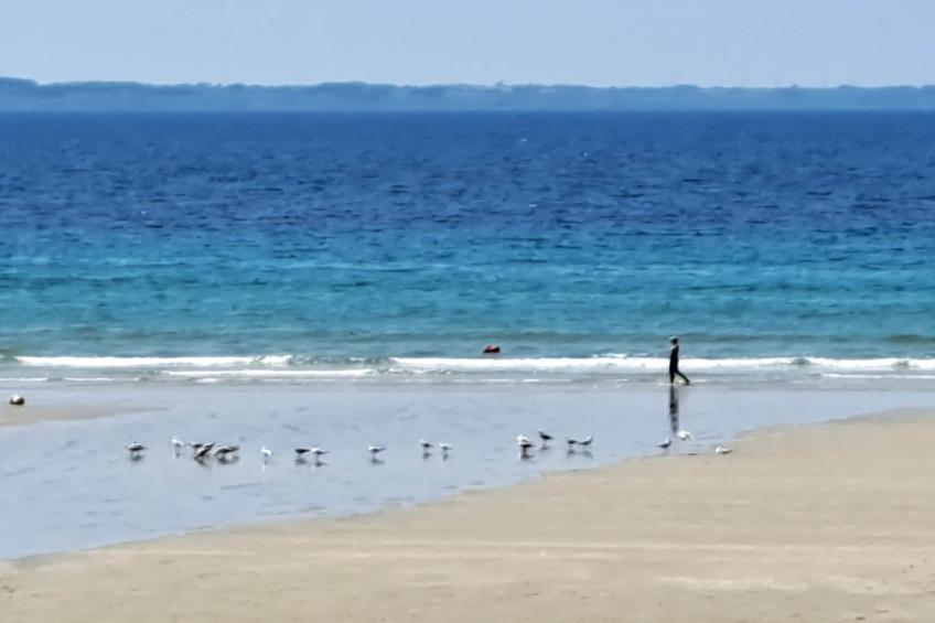 Doppelhaushälfte in Telgruc sur mer - foto 14