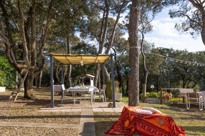 La casetta immersa nel verde - foto 27