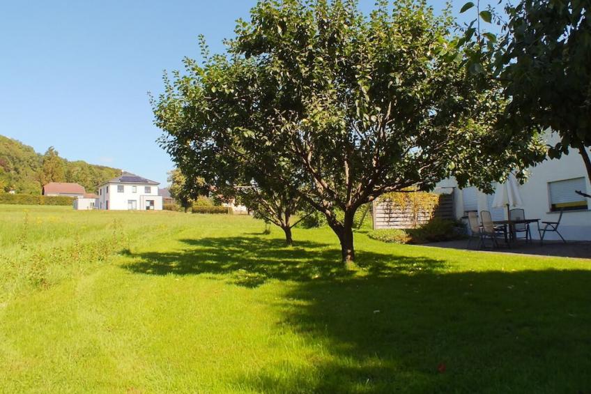 54598 - foto 18
