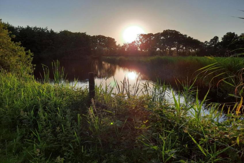 Twee safaritenten "Noflik" & "Gaadlik" naast elkaar - foto 31