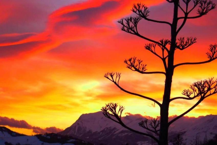 La Sibilla - foto 29