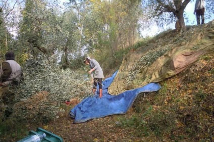 'Il Segno' mit Terrasse - foto 29