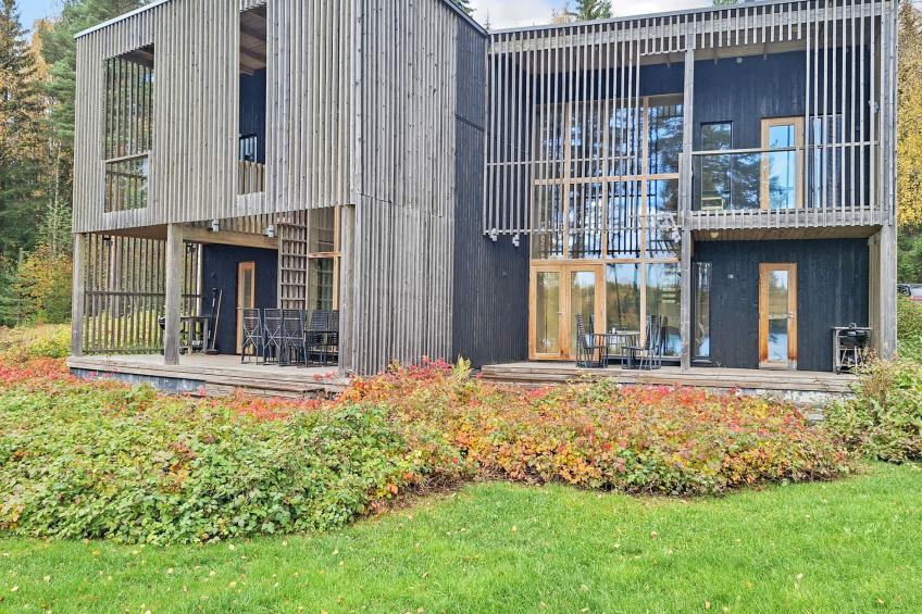 Villa sinikka 1