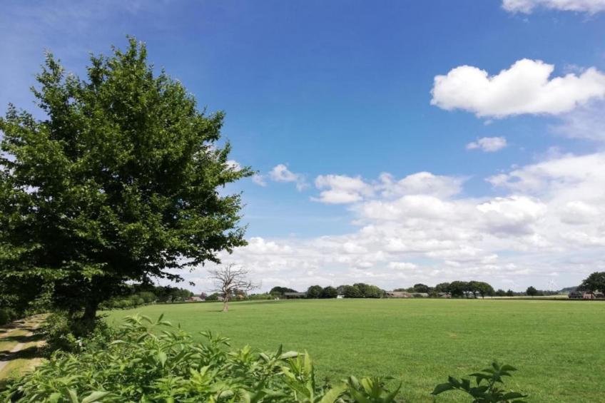 Bernardushoeve - NR13 - foto 33