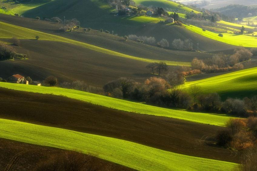 'Casa il Girasole' - foto 22