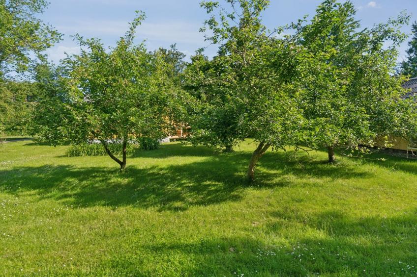 "Lennart" - 4km from the sea - foto 16