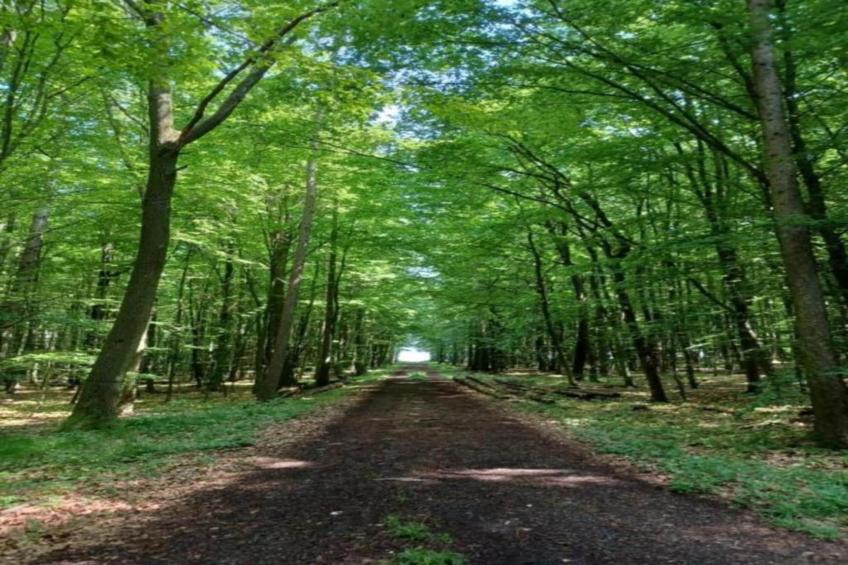 Ferienwohnung Gisela - foto 24