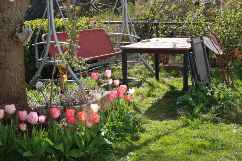 Große Fewo - foto 17