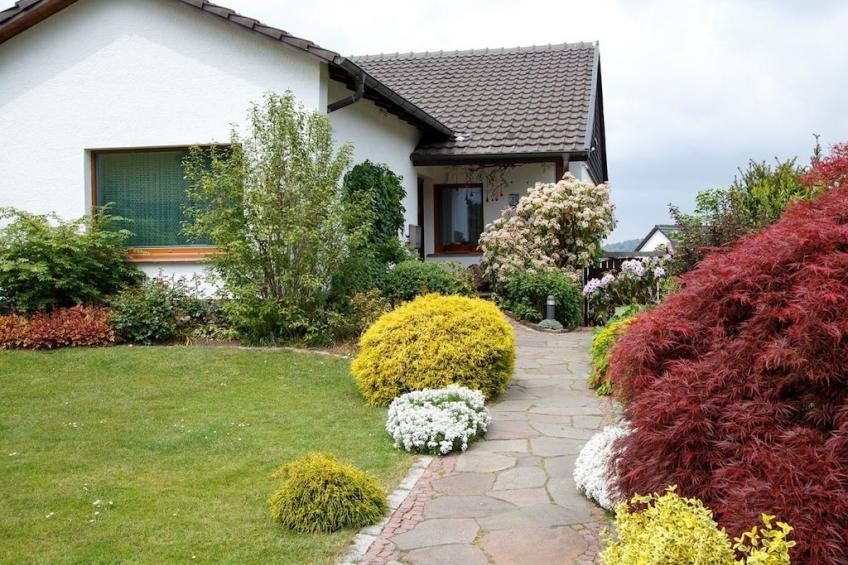43647