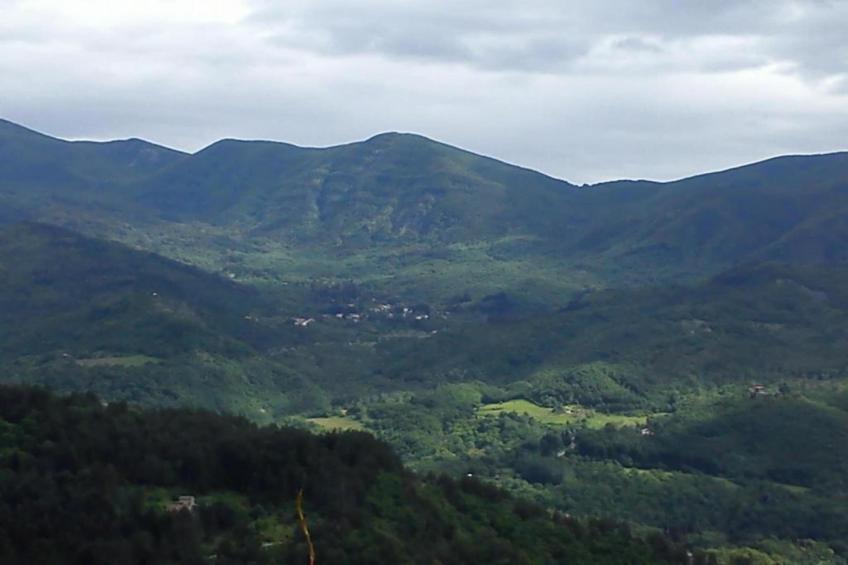 Villa Vivai - foto 37