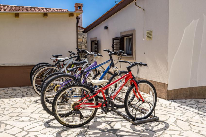 Susan & David - foto 8