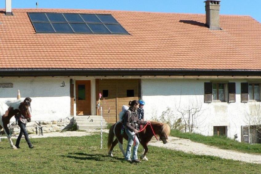 Maison de vacances - Les Hirondelles, (Montfaucon), - foto 8