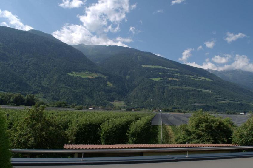 518917 - foto 14