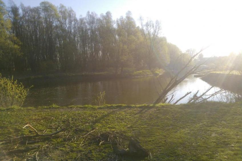 Rooms Zeko - Comfort Double Room with Terrace and Kitchenette - foto 32