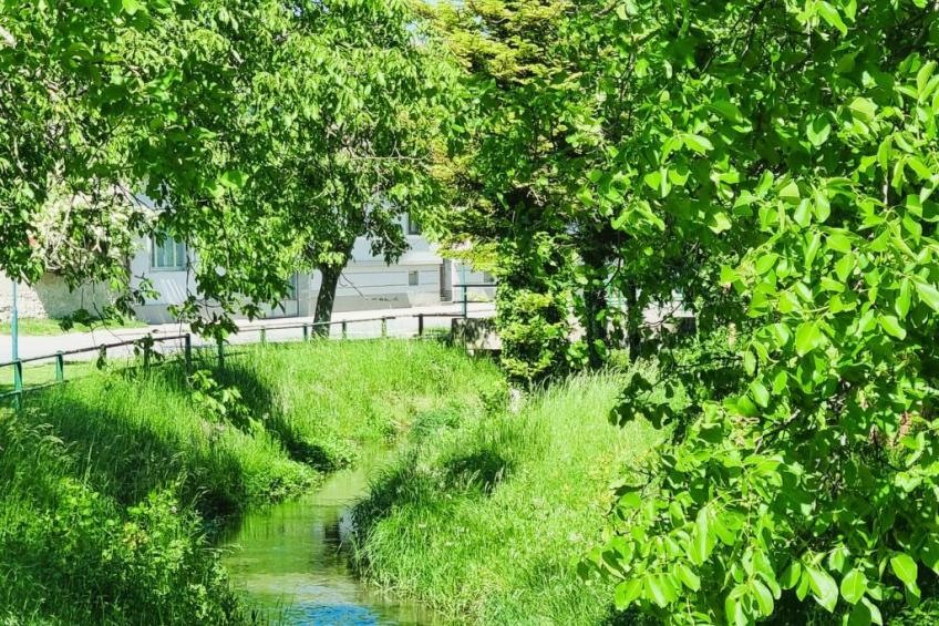 Familienfreundliche Wohnung im schönen Reisenberg - foto 27
