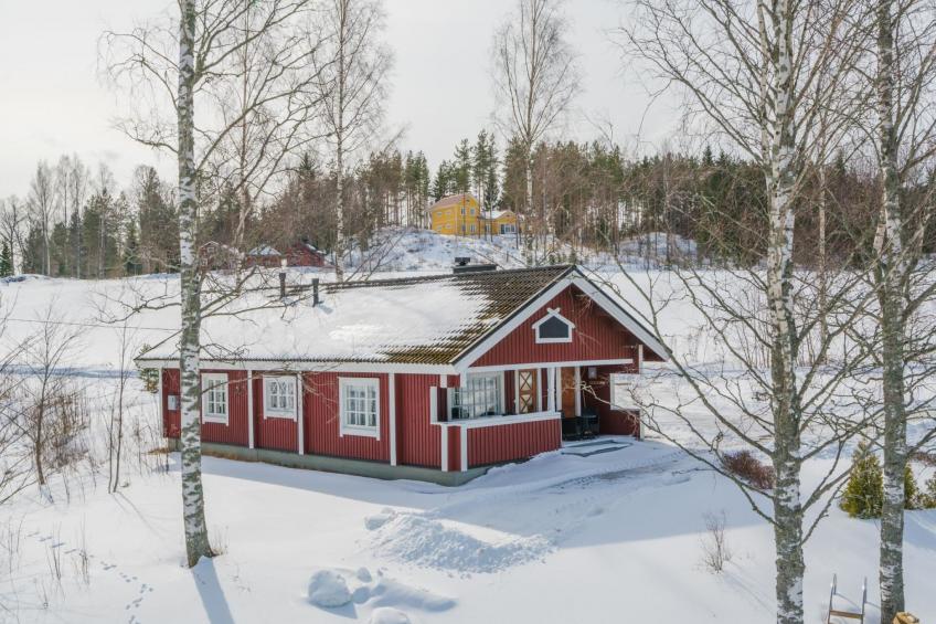 Peltosirkku, seeteri - foto 13