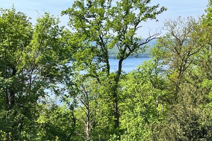 Schlossblick mit Teilseeblick - foto 9