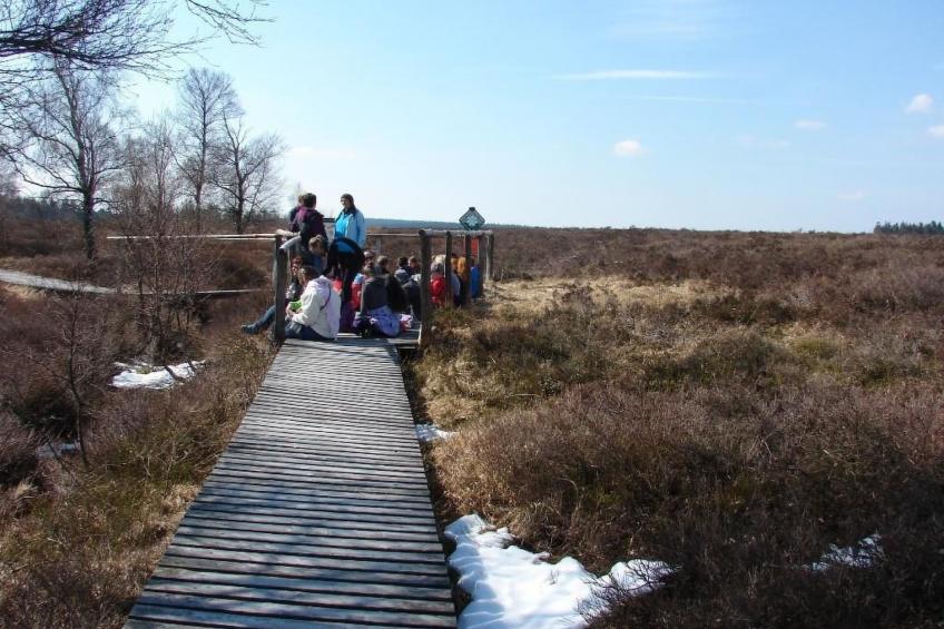 Snowview Lodge - foto 33