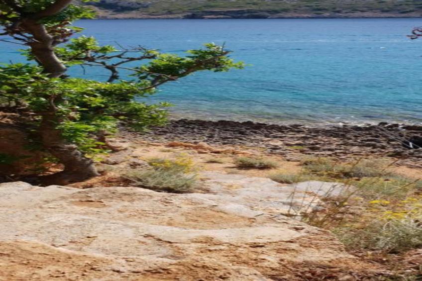 Villa Una - apartman 1 - foto 23