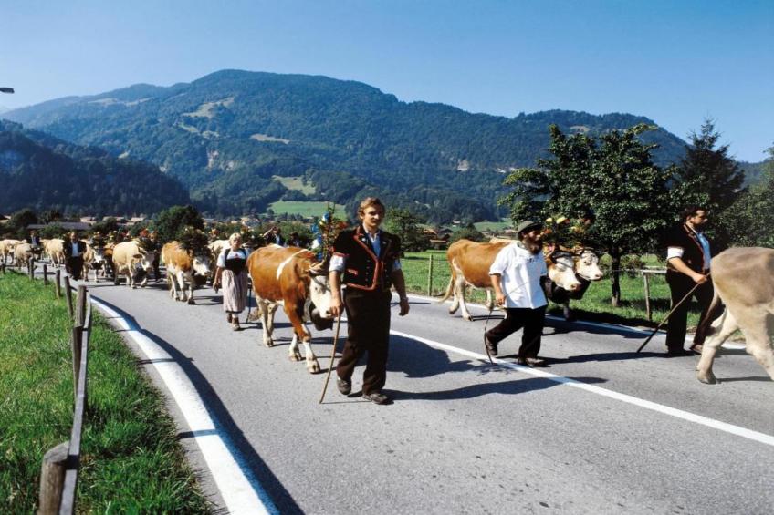 Haus Zumbrunn - foto 27