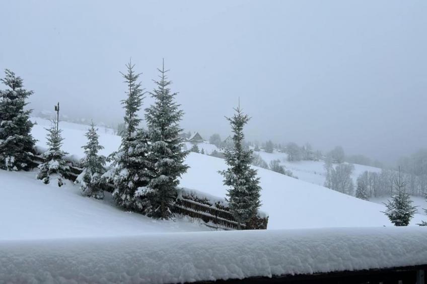 Ferienwohnung Irene - foto 18