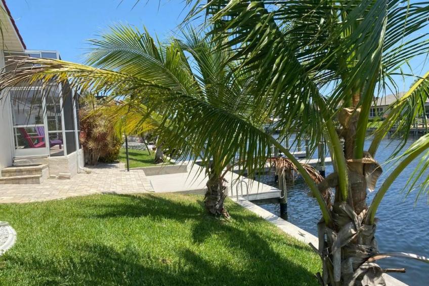 Tropical Palms - hier sind die Momente anders als sonst - foto 11