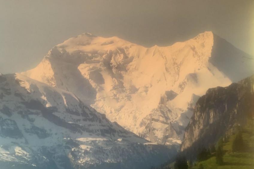 Gartenstudio "Belle Vue" - foto 5